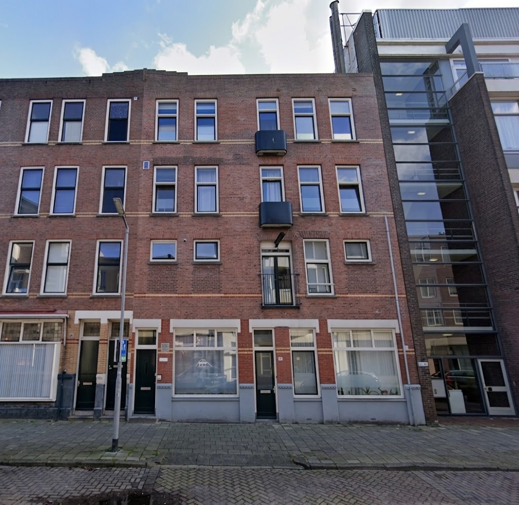 Bosland huidig
